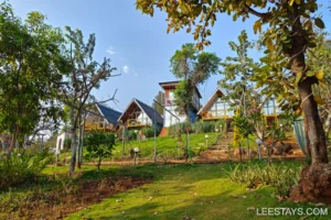A beautiful view of the Diamond Resort near Pawna Lake, showcasing scenic greenery and well-maintained lodges amid nature.